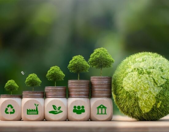 ESG Investing for Indian Retail Investors (2025)